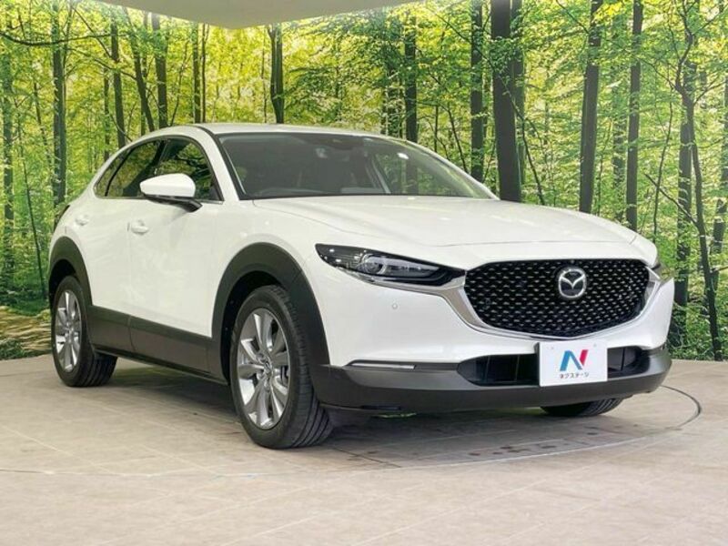 CX-30