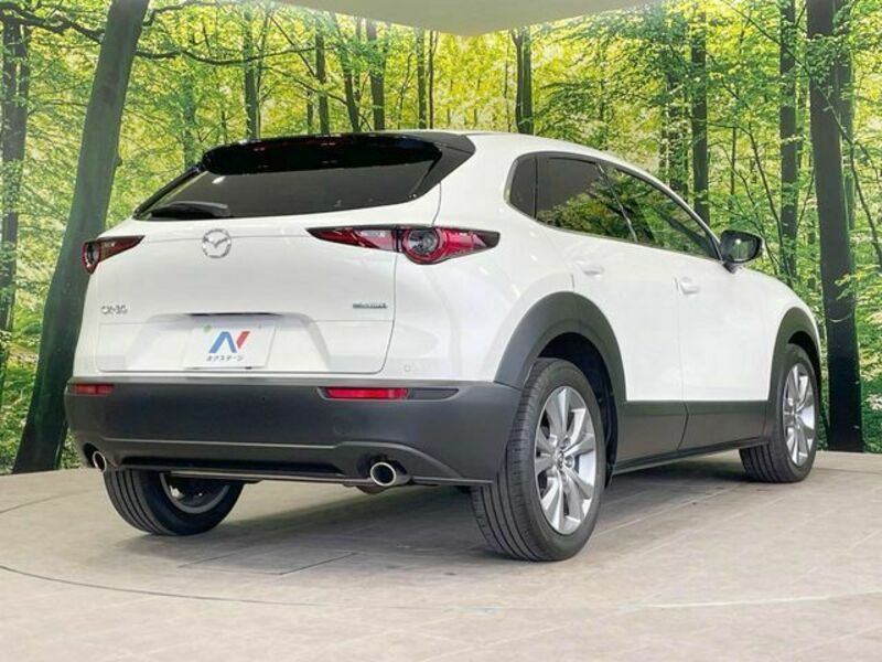 CX-30