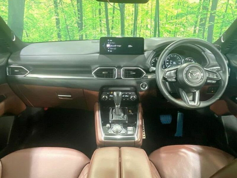 CX-8-1