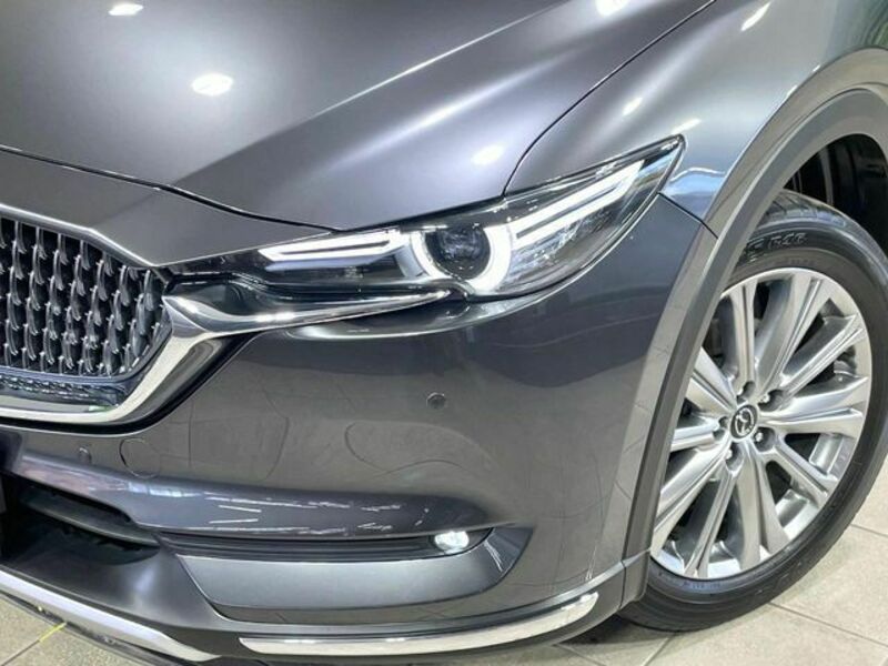 CX-8-11