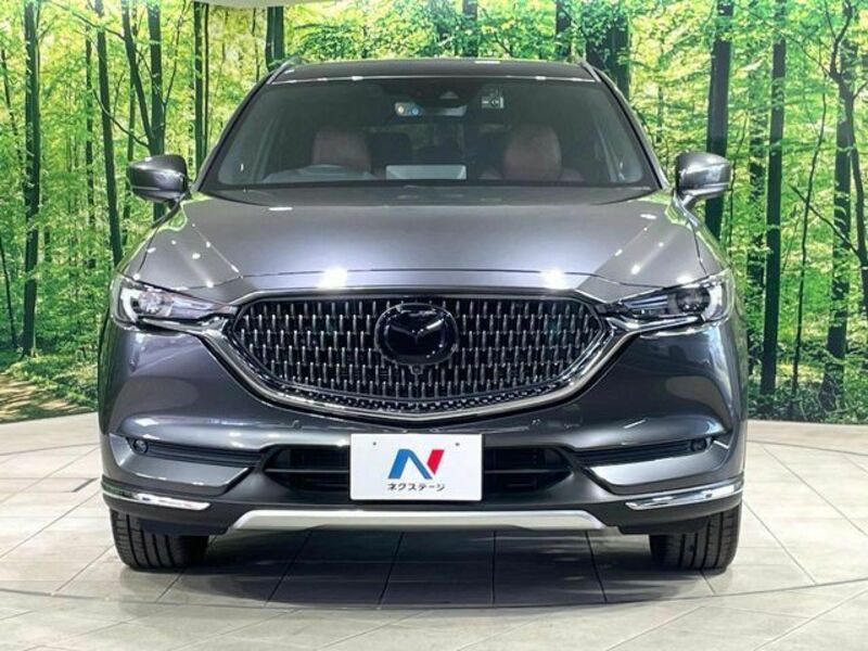 CX-8-13