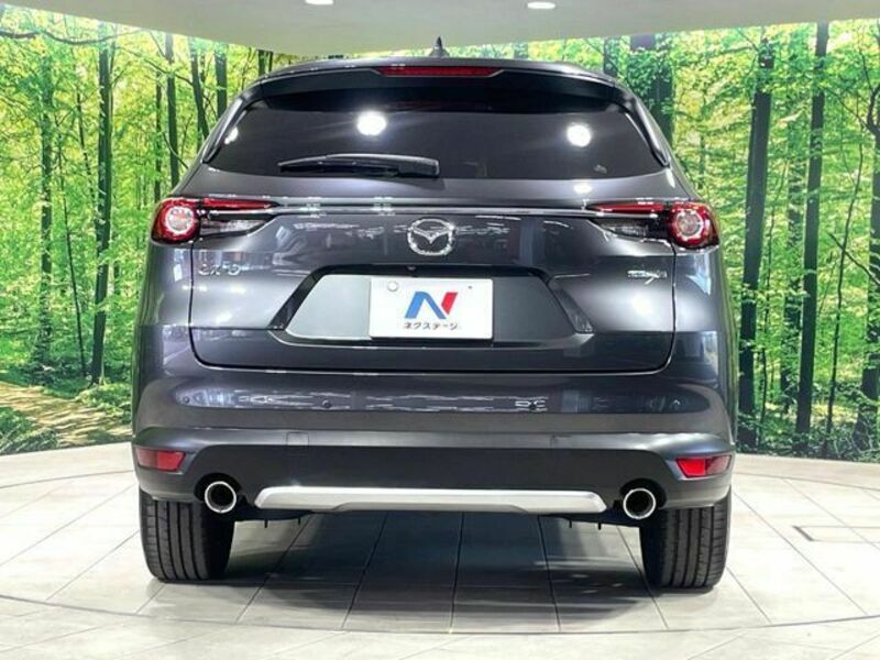 CX-8-14