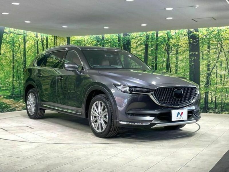 CX-8-15