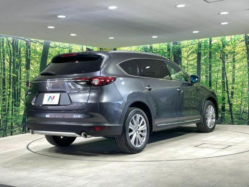 CX-8-16