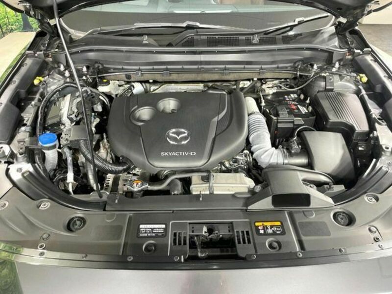 CX-8-17