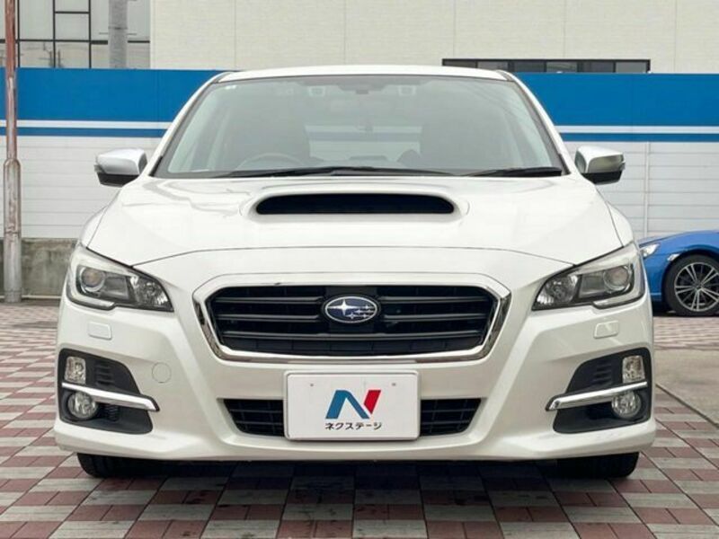LEVORG-13