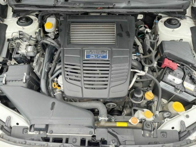 LEVORG-17
