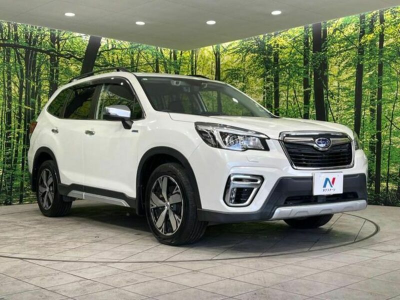 FORESTER