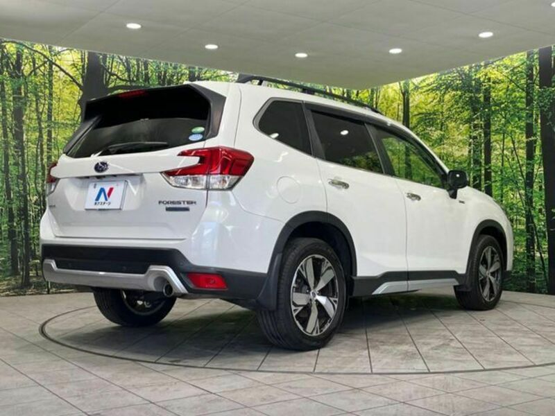 FORESTER