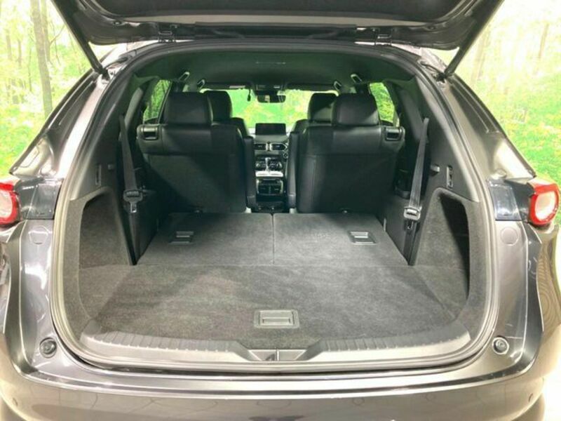 CX-8-10