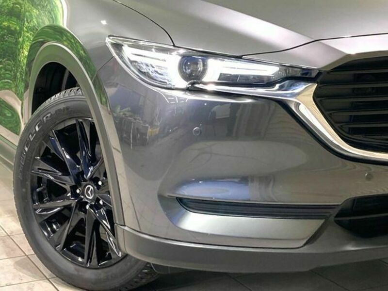 CX-8-12