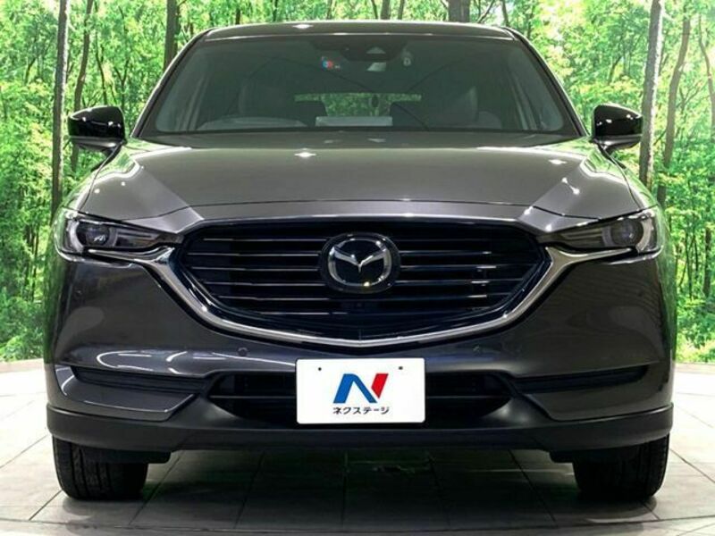 CX-8-14