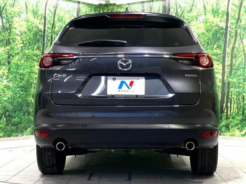 CX-8-15