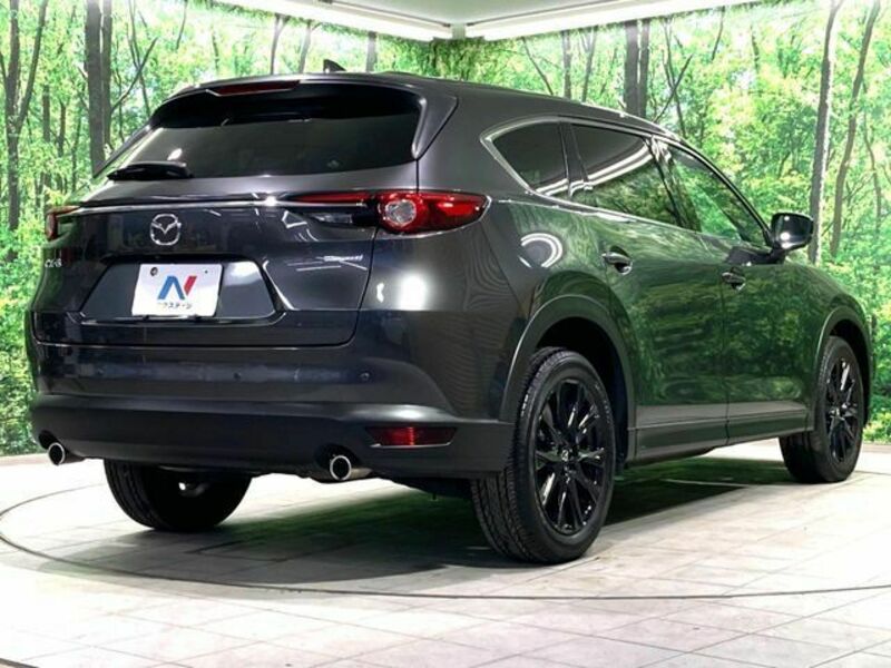 CX-8-17
