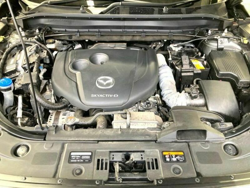 CX-8-18