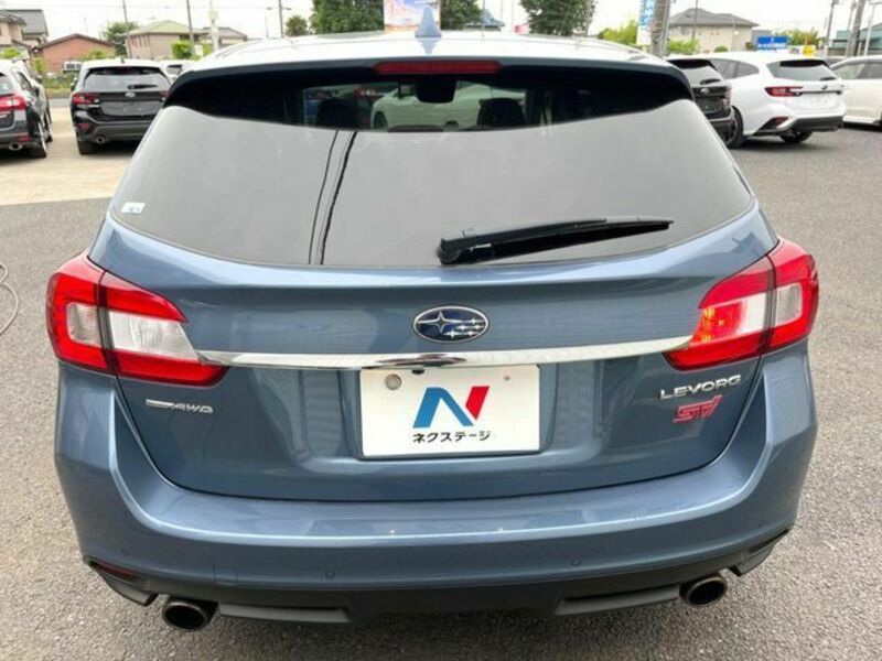 LEVORG