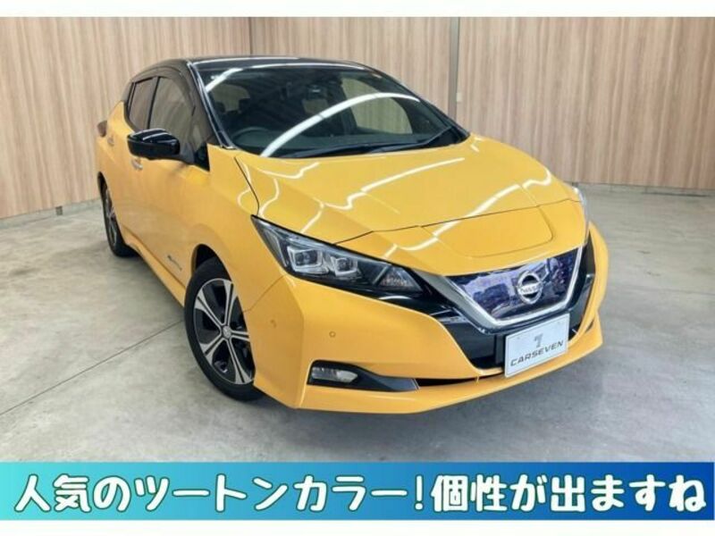 NISSAN LEAF
