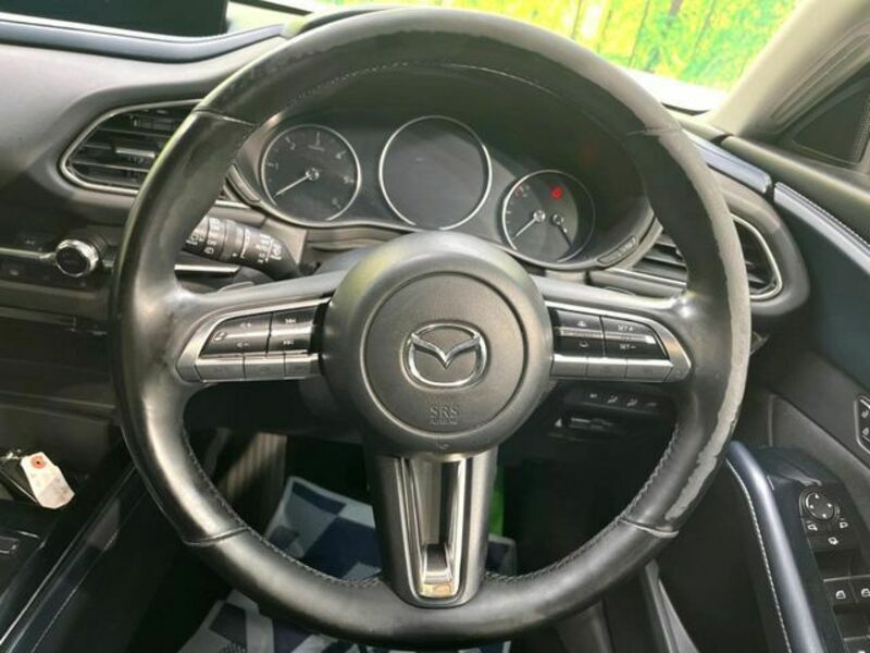 CX-30