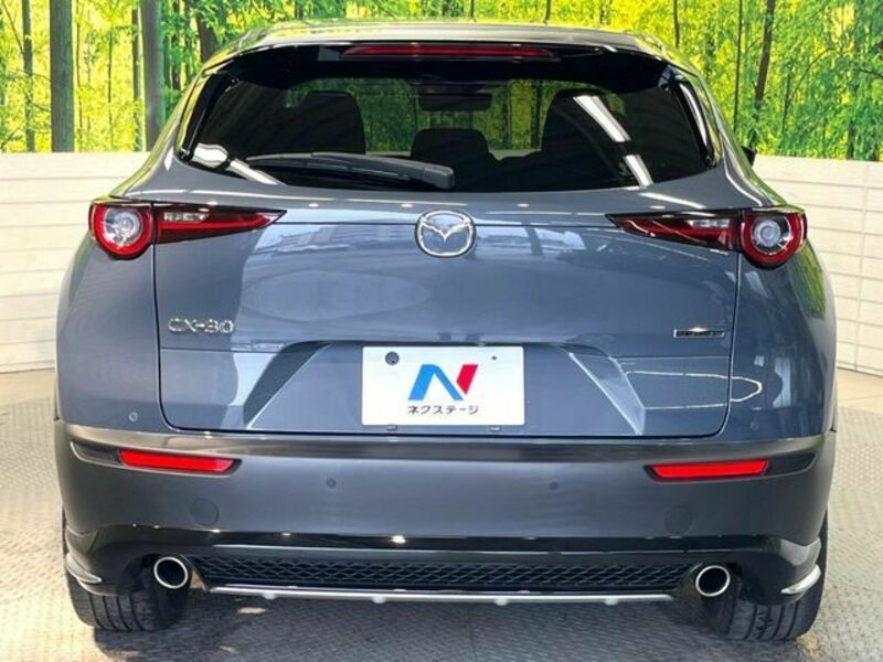 CX-30