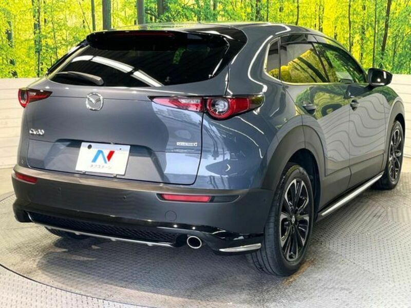 CX-30
