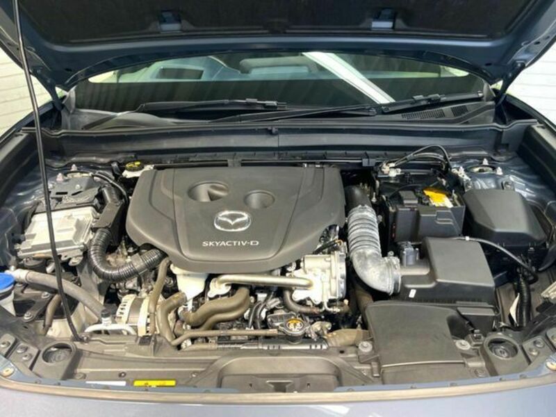 CX-30