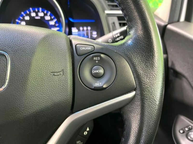 FIT HYBRID-6