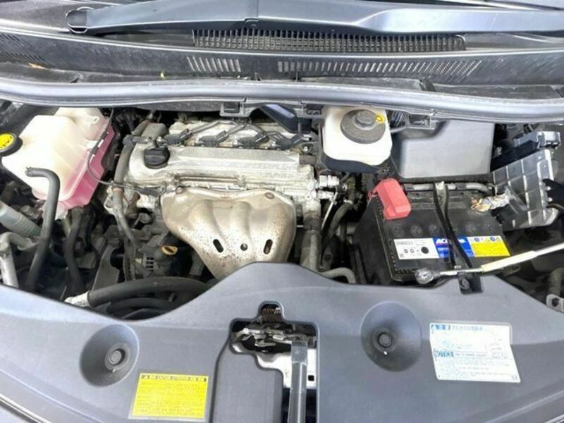 ALPHARD-18