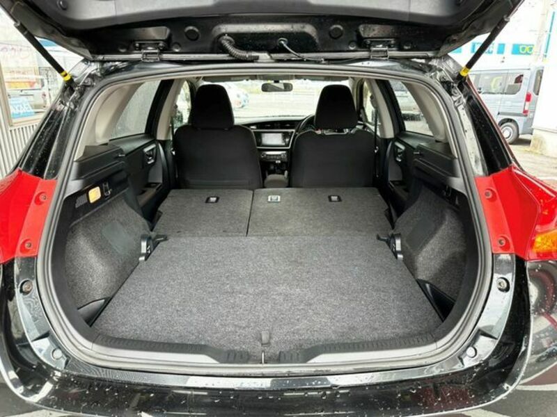 AURIS