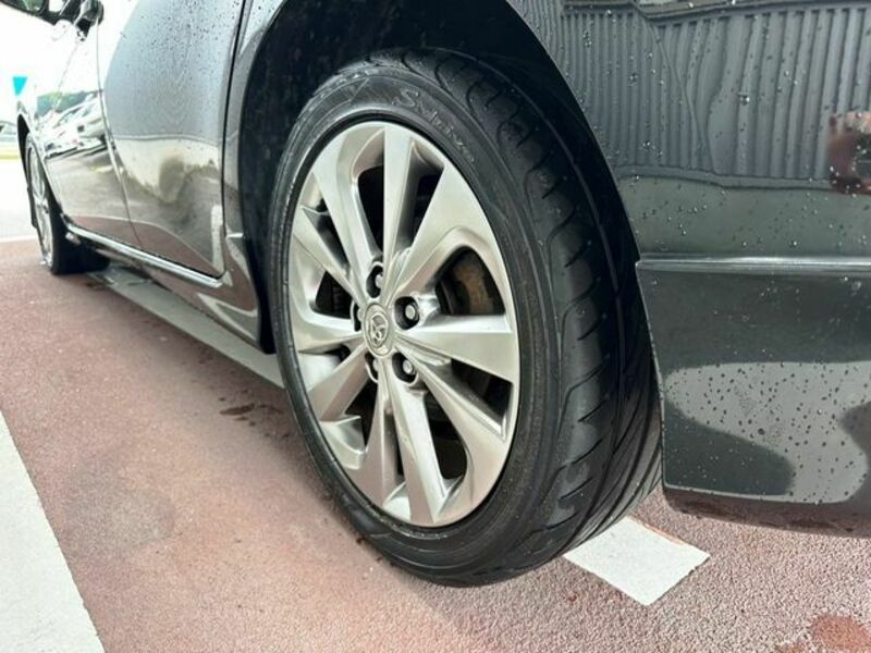 AURIS