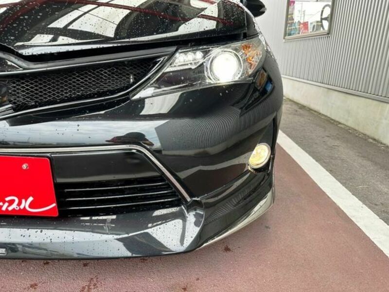 AURIS