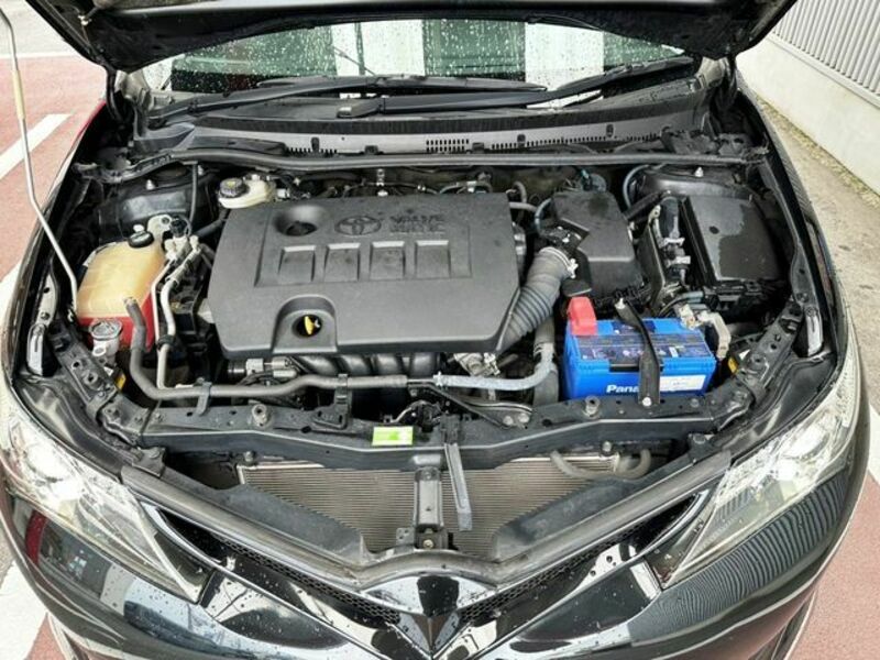 AURIS