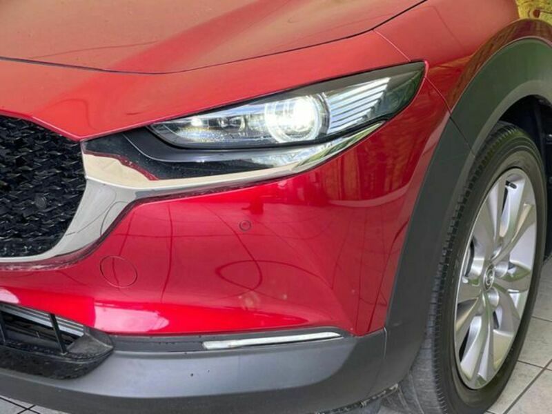 CX-30
