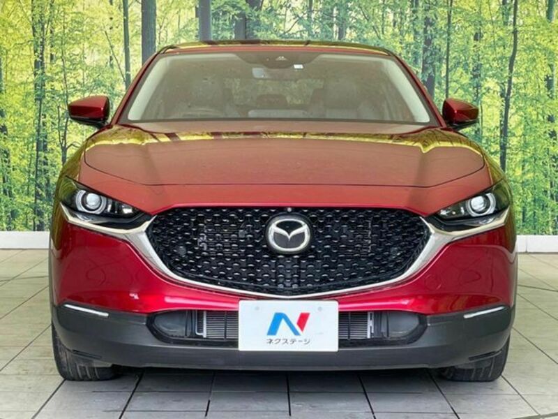 CX-30