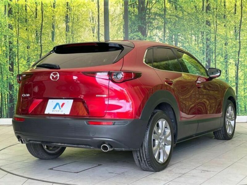 CX-30