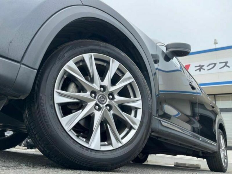 CX-8