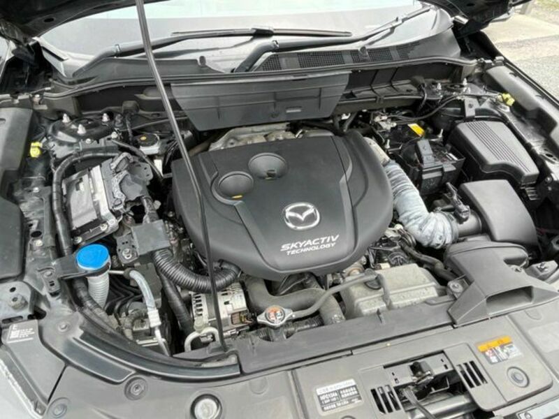 CX-8