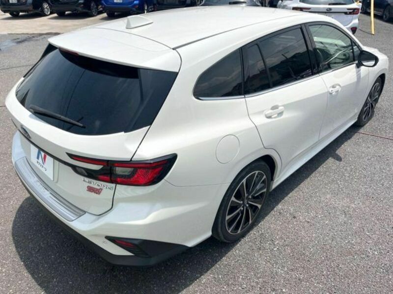 LEVORG