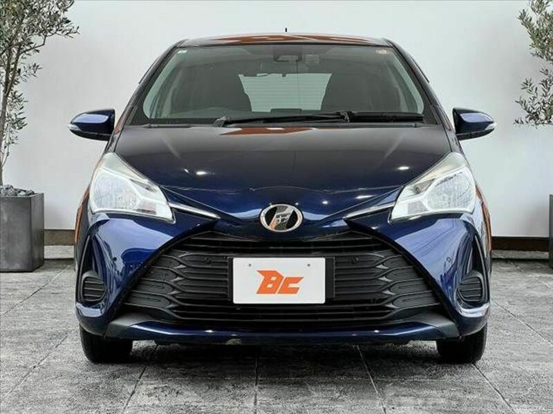 VITZ-8