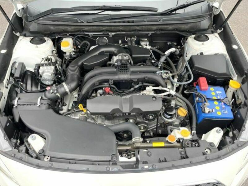 LEGACY B4