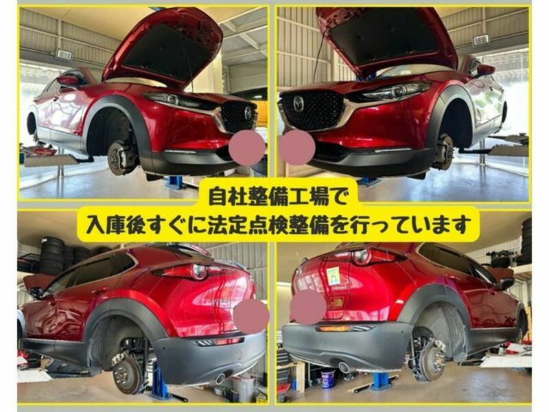 CX-30