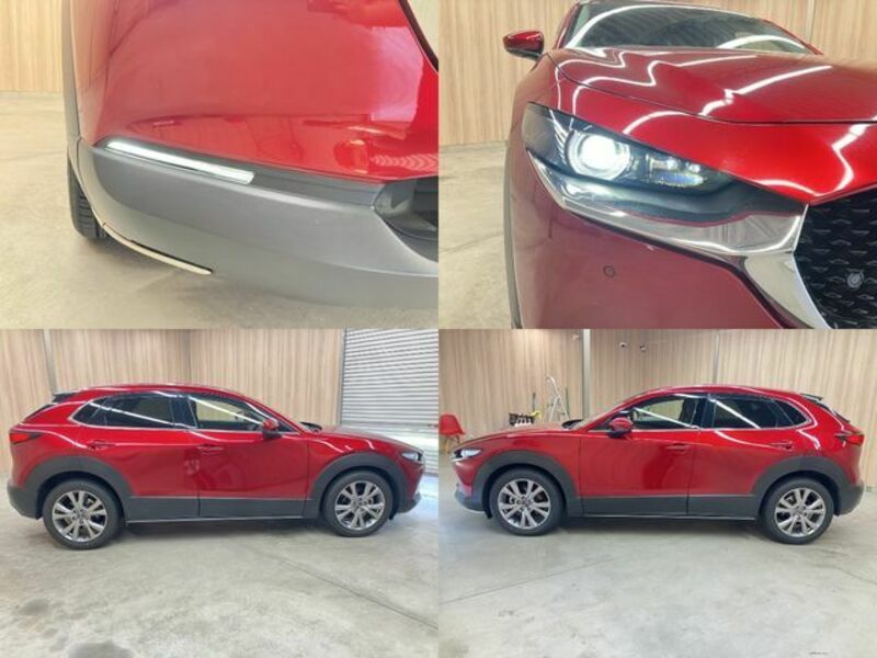 CX-30