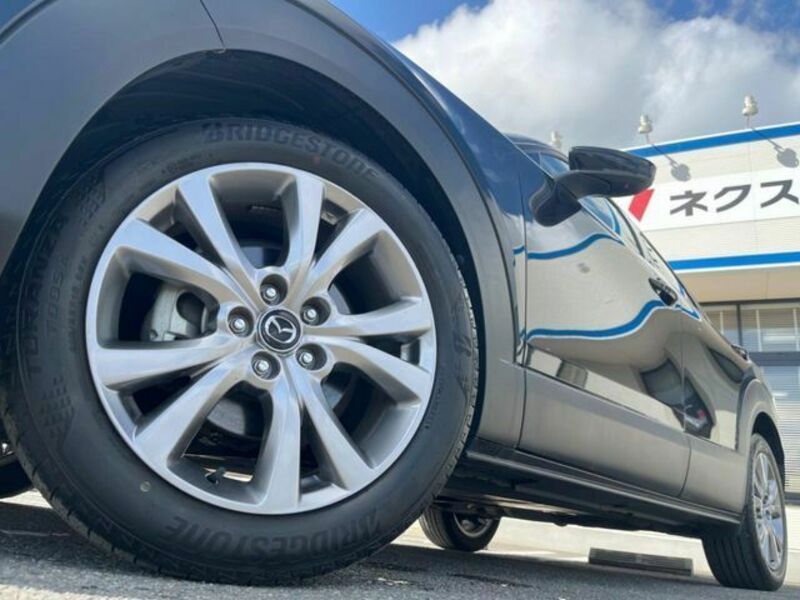 CX-30