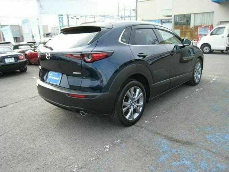 CX-30
