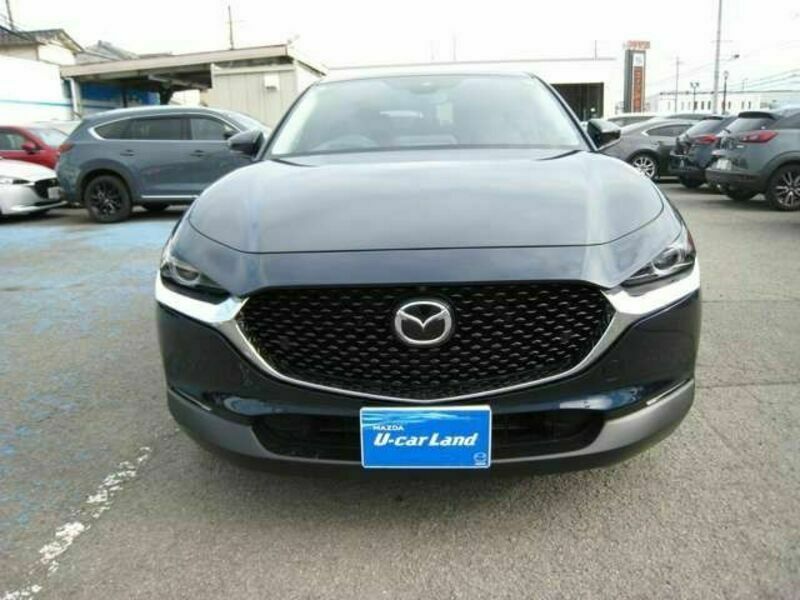CX-30
