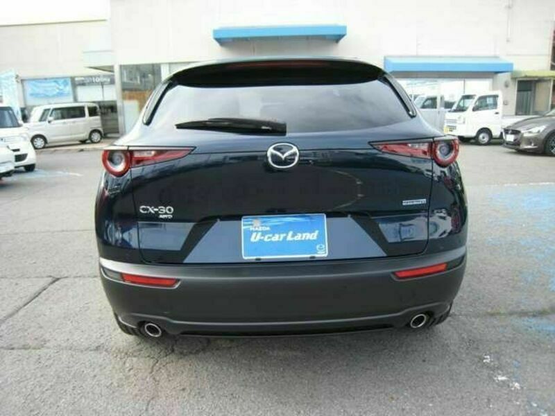 CX-30