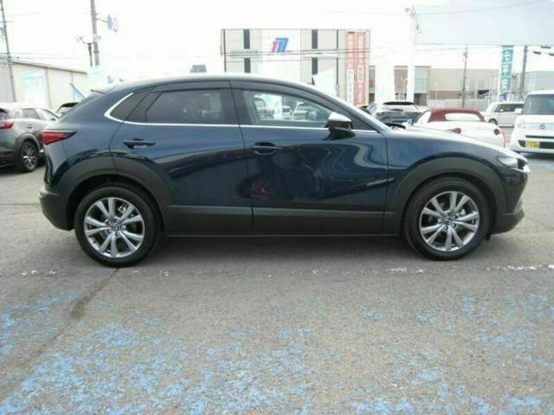 CX-30