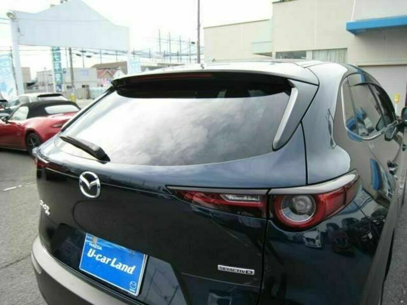 CX-30