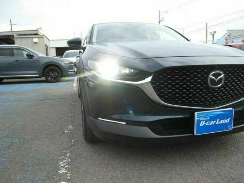 CX-30