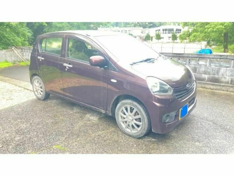 PLEO PLUS