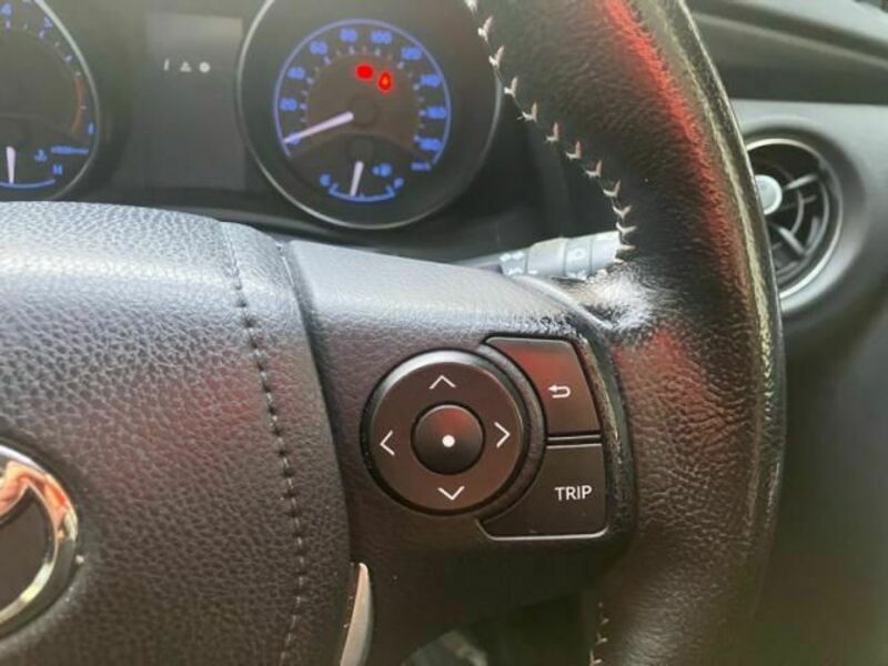 AURIS